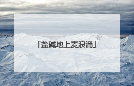 盐碱地上麦浪涌